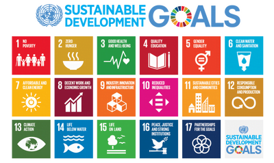 Sustainability development goals