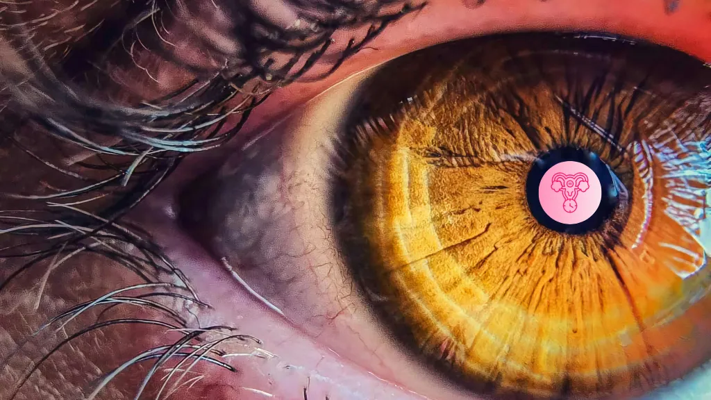 Ageing, Menopause and You Vision