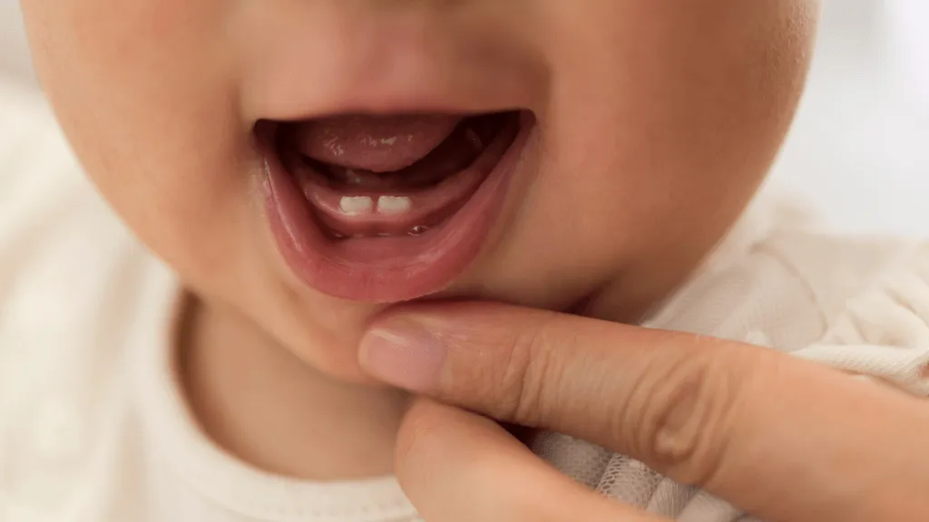 The Development of Baby Teeth